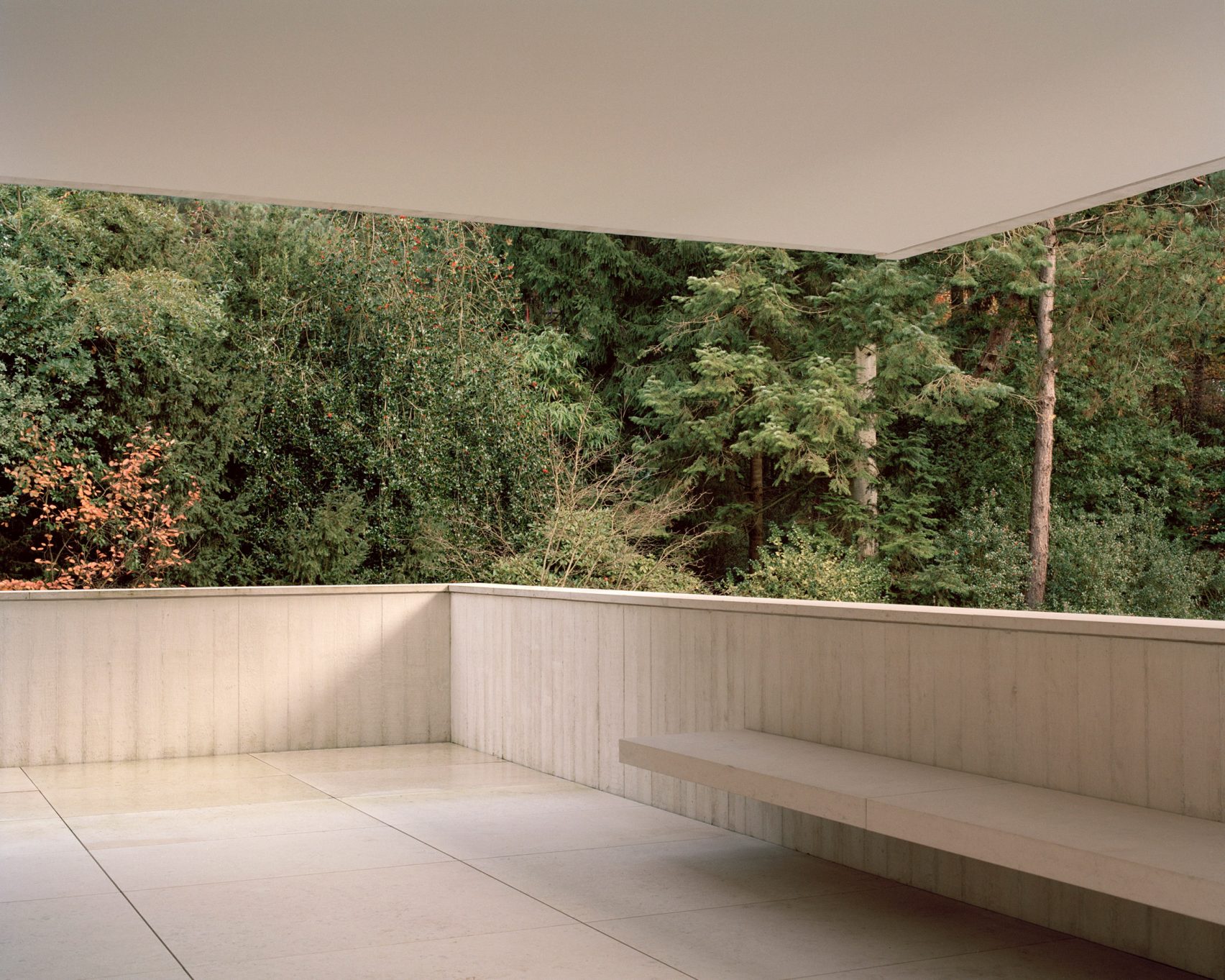 Рассел Джонс (Russell Jones) создает загородный бетонный дом в голландском лесу